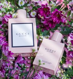 Gucci Bloom